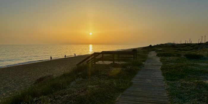 Workations dynamiska roll i det moderna arbetslivet