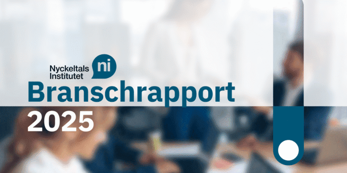 Nyckeltalsinstiutets branschrapport 2025