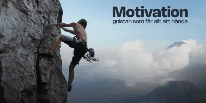 motivation news v46 1536x878