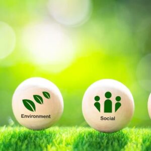 Peter Lingmerth Social hållbarhet