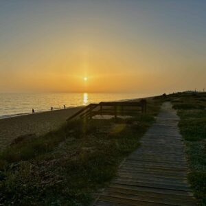 Workations dynamiska roll i det moderna arbetslivet