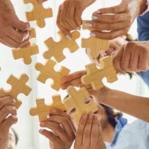 Styrkebaserad organisation