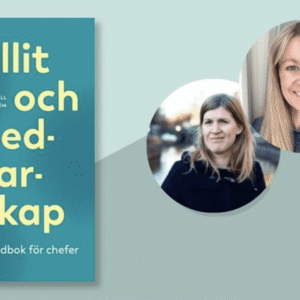 Tillit och medlarskap